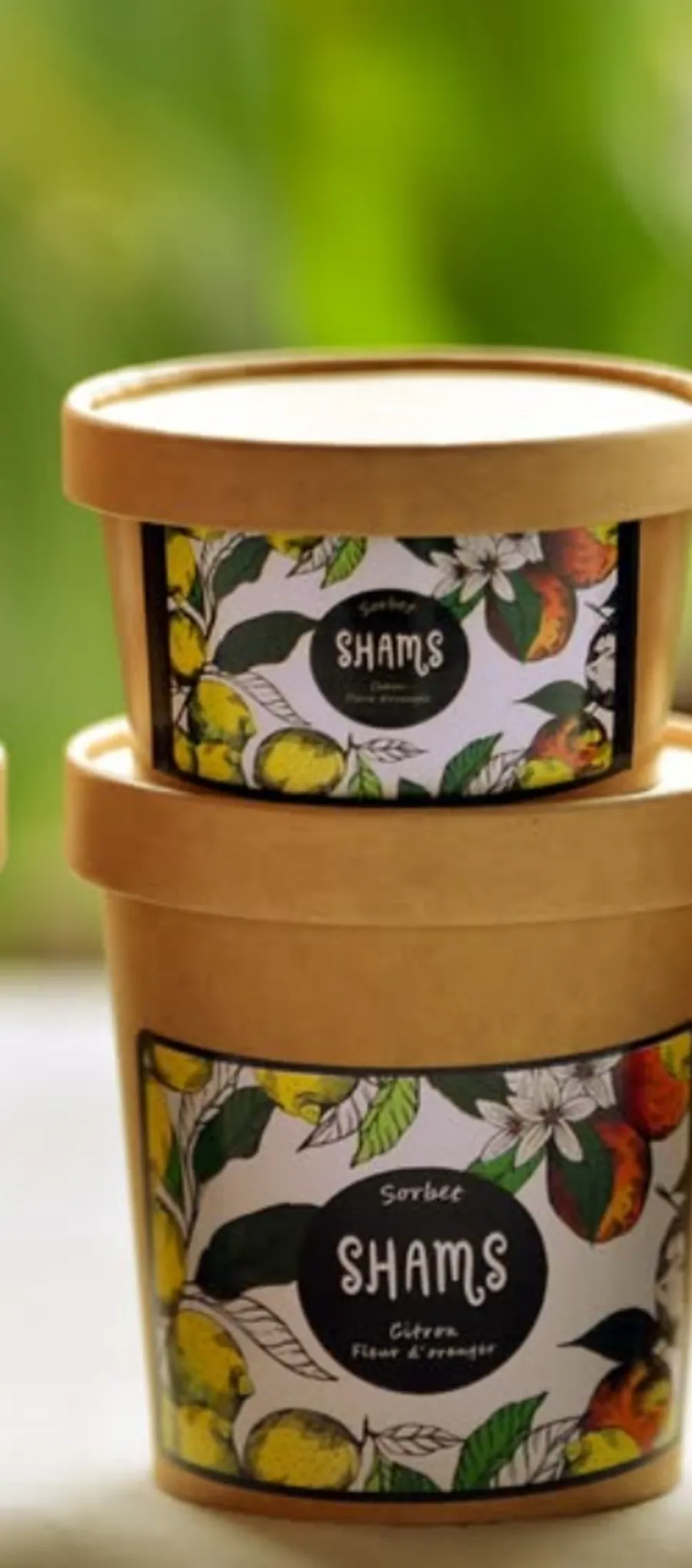 Pintes Créponné citron, fleur d’oranger — Shams, jardin